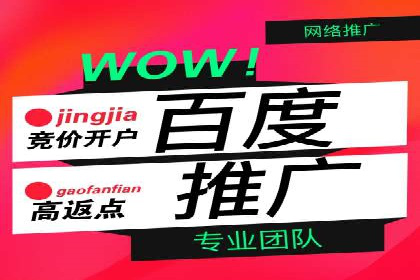 行业领先的SEM投放效果案例解析